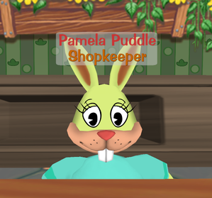 PamelaPuddle.png