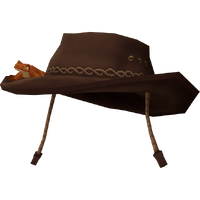 OutbackGeckoHat.png