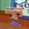 Don D. Toupee's appearance when he was Donald Frump