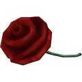 Solemn Rose