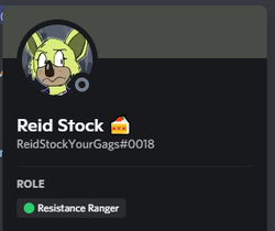 Reid Stock's Discord profile