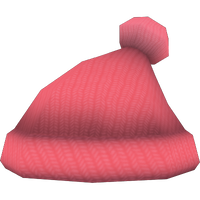 Pink Bobble Hat.png