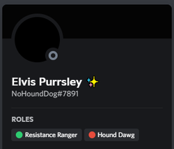 Elvis' Discord profile