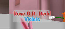 Rose S.R. Redd's special blue colored occupation