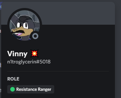 Vinny's Discord profile