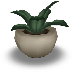 Plant Hat